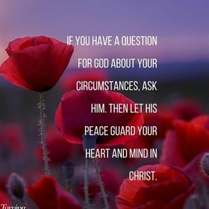 Meet your Posher, Tamara